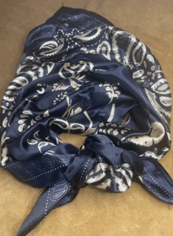 A Rare Bird Shop ARB Wild Rag -Western Cowboy Clothing a rare bird shop arb wild rag 4