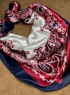 A Rare Bird Shop ARB Wild Rag -Western Cowboy Clothing a rare bird shop arb wild rag 7